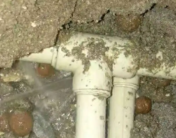 张家港测漏水多少钱