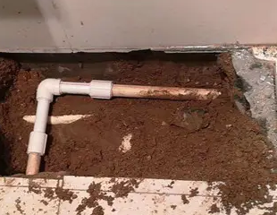 张家港测漏水哪家好