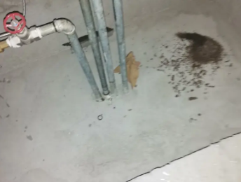 张家港卫生间测漏水价格明细