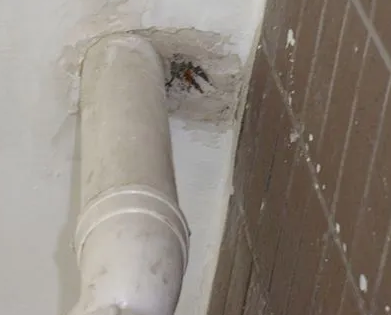 张家港漏水检测哪家好